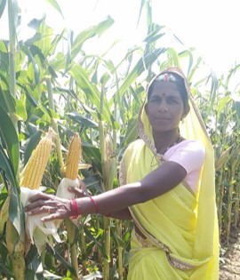 Corteva Agriscience Introduces Technology and Sustainability Initiatives that Increased Farmer Income by 40% in the First Year of Implementation across Five States in India